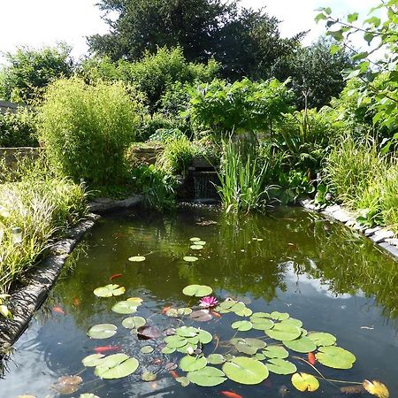 Liongate House Bed and Breakfast Ilchester Exteriör bild